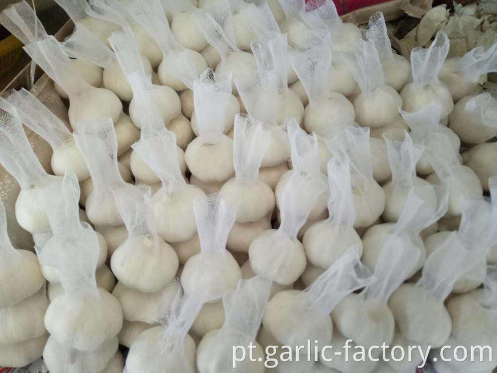 SUPER GARLIC 250G MESH BAG POPULAR